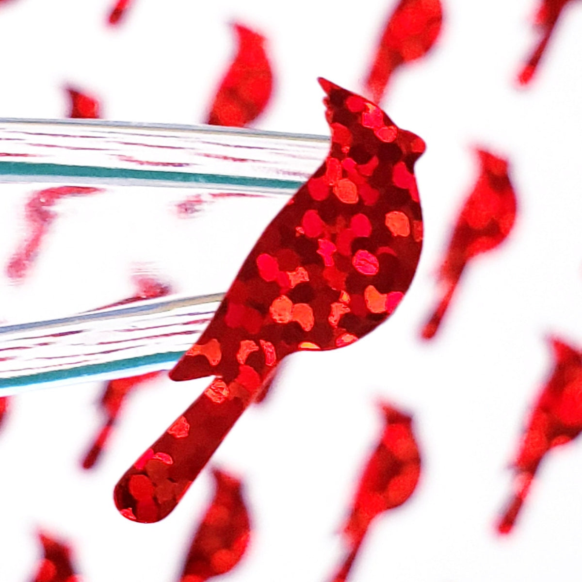 Red Cardinal Bird Stickers