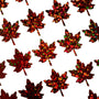 Brown Maple Leaves Sticker Sheet, set of 45 leaf vinyl decals for Autumn weddings, fall decor, planners, scrapbook pages and Thanksgiving.