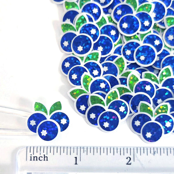 Blueberry Fruit Stickers, Waterproof Die Cut Glitter Vinyl Decals, Peel & Stick, choose amount