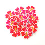 Mini Pink Hibiscus Flower Stickers, tropical blooms, summer garden, island beach wedding stickers, choose color.