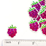 Mini Raspberry Sticker Set, Die Cut Glitter Vinyl Decals, Peel & Stick, choose amount