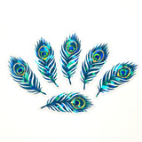 Peacock Feathers Sparkly Sticker Bundle, die cut stickers for summer festival journal page embellishments, boho decor