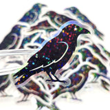 Raven Sticker Bundle, black crow bird shaped die cut stickers for goth Halloween crafts and journal embellishments,