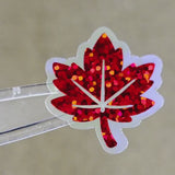Maple Leaf Die-Cut Sticker Set for Autumn and Halloween craft projects, fall seasonal decor, ID badge stickers